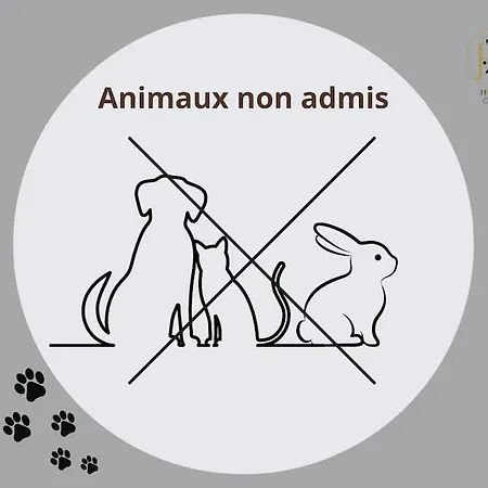 Le Lagon Bleu - Appt Wifi Parking Balcon Le Puy-en-Velay